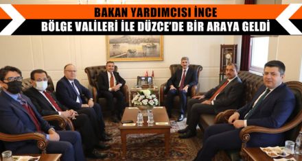 BAKAN YARDIMCISI İNCE BÖLGE VALİLERİ İLE DÜZCE'DE BİR ARAYA GELDİ