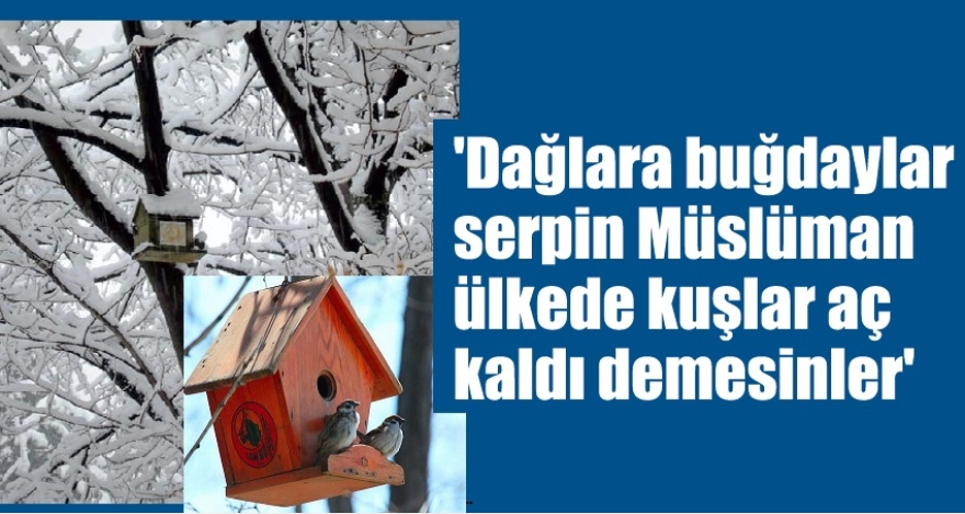 Yaban hayvanlarına can oldular