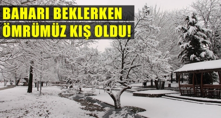 BAHARI BEKLERKEN ÖMRÜMÜZ KIŞ OLDU!