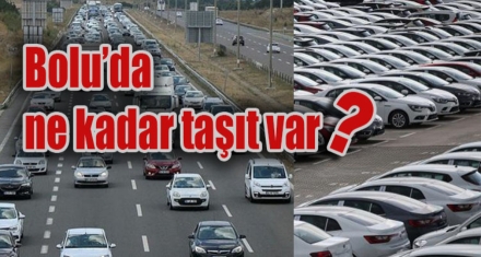 Bolu'da ne kadar taşıt var?