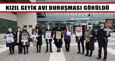 BOLU'DAKİ KIZIL GEYİK AVI DURUŞMASI GÖRÜLDÜ 