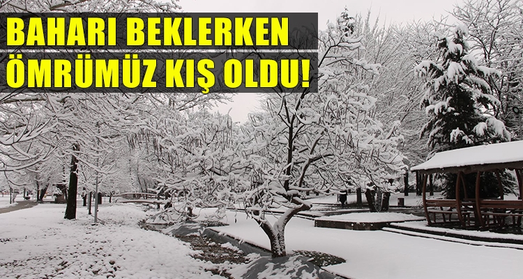 BAHARI BEKLERKEN ÖMRÜMÜZ KIŞ OLDU!