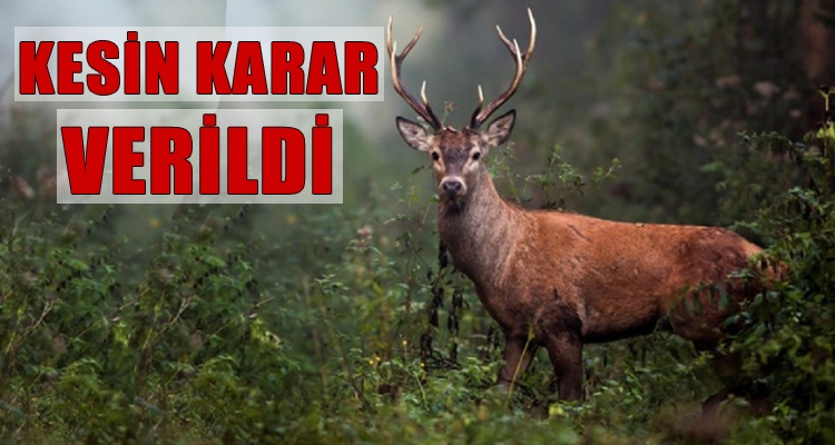 KESİN KARAR VERİLDİ