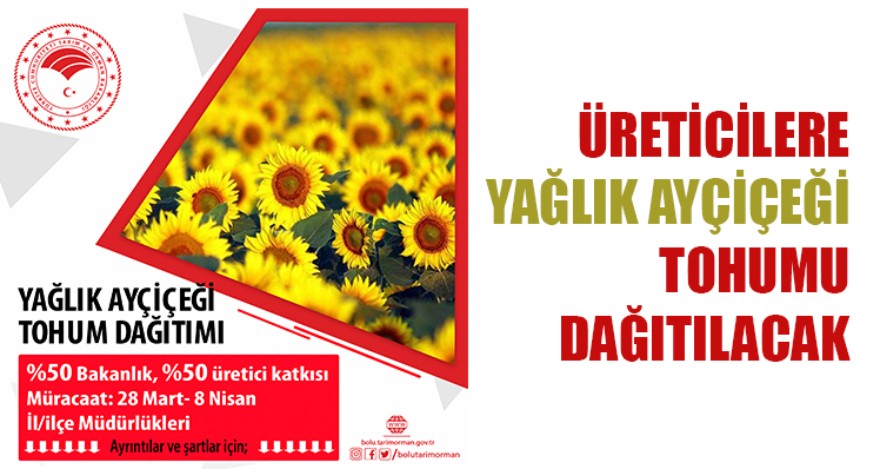 ÜRETİCİLERE YAĞLIK AYÇİÇEĞİ TOHUMU DAĞITILACAK