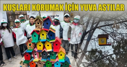 KUŞLARI KORUMAK İÇİN YUVA ASTILAR