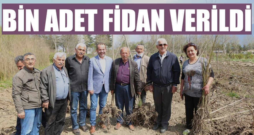 BİN ADET FİDAN VERİLDİ