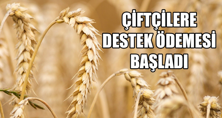 ÇİFTÇİLERE DESTEK ÖDEMESİ BAŞLADI