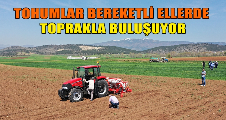 TOHUMLAR BEREKETLİ ELLERDE TOPRAKLA BULUŞUYOR