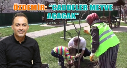 CADDELER MEYVE AÇACAK