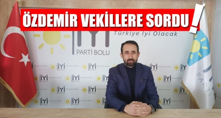 ÖZDEMİR VEKİLLERE SORDU!