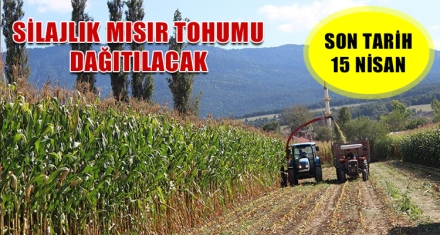 SİLAJLIK MISIR TOHUMU DAĞITILACAK