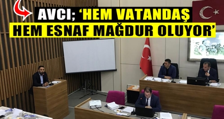 AVCI; ‘HEM VATANDAŞ HEM ESNAF MAĞDUR OLUYOR'
