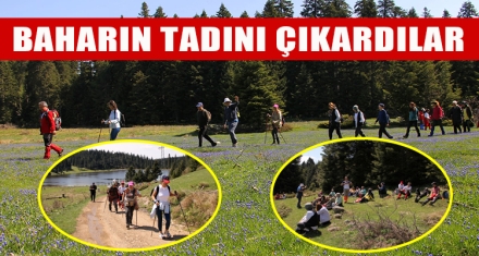 BAHARIN TADINI ÇIKARDILAR