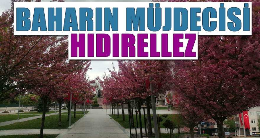 BAHARIN MÜJDECİSİ HIDIRELLEZ