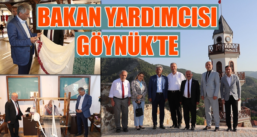 BAKAN YARDIMCISI GÖYNÜK'TE