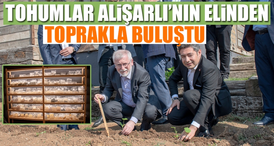 TOHUMLAR ALİŞARLI'NIN ELİNDEN TOPRAKLA BULUŞTU