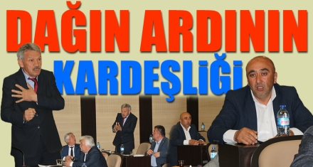 DAĞIN ARDININ KARDEŞLİĞİ