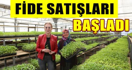 FİDE SATIŞLARI BAŞLADI