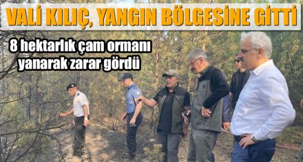 VALİ KILIÇ, YANGIN BÖLGESİNE GİTTİ