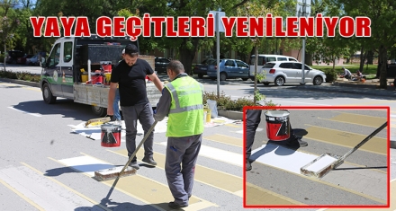 YAYA GEÇİTLERİ YENİLENİYOR