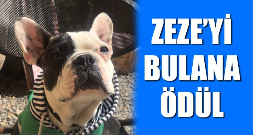 ZEZE'Yİ BULANA ÖDÜL