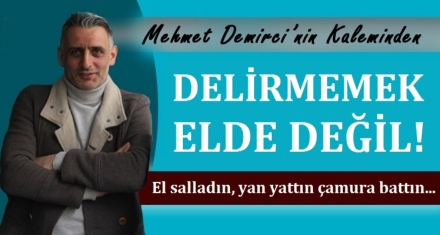 DELİRMEMEK ELDE DEĞİL!