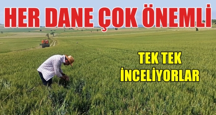 HER DANE ÇOK ÖNEMLİ