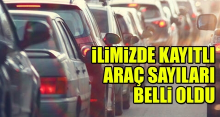 İLİMİZDE KAYITLI ARAÇ SAYILARI BELLİ OLDU