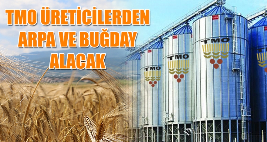 TMO ÜRETİCİLERDEN ARPA VE BUĞDAY ALACAK