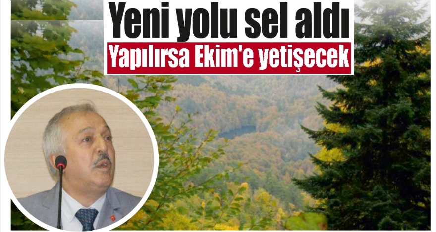 Yedigöller'de alternatif yol yeniden yapılacak