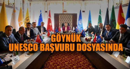 GÖYNÜK, UNESCO BAŞVURU DOSYASINDA