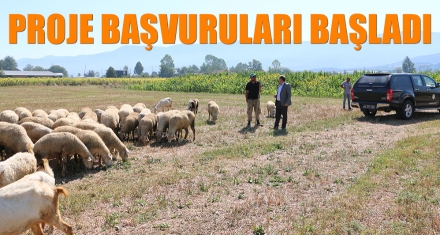 PROJE BAŞVURULARI BAŞLADI