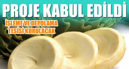 PROJE KABUL EDİLDİ