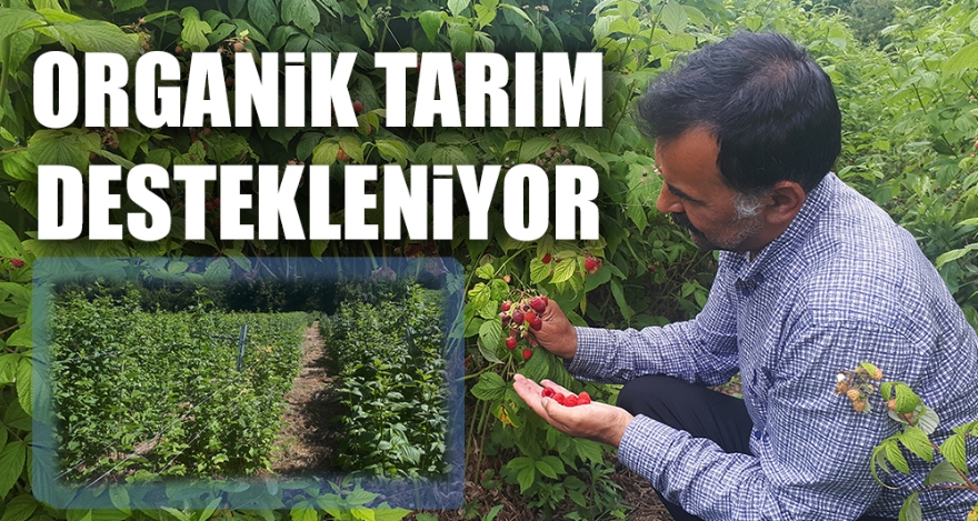 ORGANİK TARIM DESTEKLENİYOR