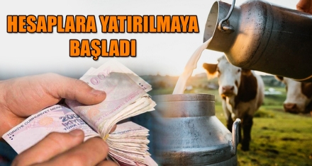 HESAPLARA YATIRILMAYA BAŞLADI