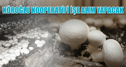 KÖROĞLU KOOPERATİFİ İŞE ALIM YAPACAK