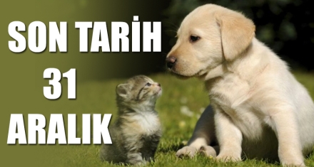 SON TARİH 31 ARALIK