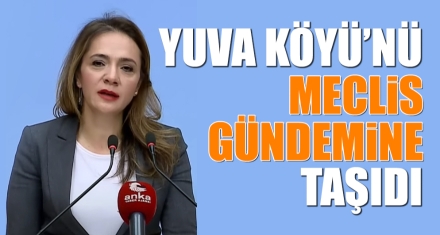 YUVA KÖYÜ'NÜ MECLİS GÜNDEMİNE TAŞIDI