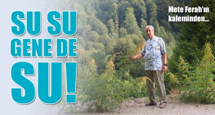 SU SU GENE DE SU!
