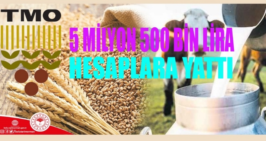 5 MİLYON 500 BİN LİRA HESAPLARA YATTI