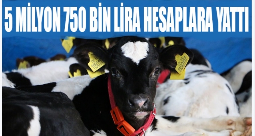 5 MİYON 750 BİN LİRA DESTEK HESAPLARA YATTI