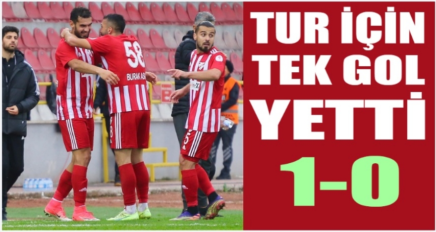 TEK GOLLE TURLADIK