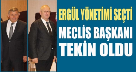 ERGÜL YÖNETİME GEÇTİ MECLİS BAŞKANI TEKİN OLDU