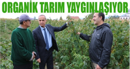 ORGANİK TARIM YAYGINLAŞIYOR 