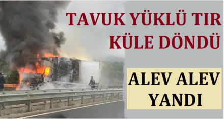 TAVUK YÜKLÜ TIR KÜLE DÖNDÜ