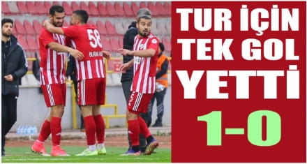 TEK GOLLE TURLADIK