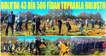 BOLU'DA 43 BİN 500 FİDAN TOPRAKLA BULUŞTU 