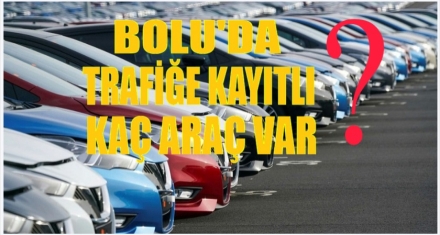Bolu'da ne kadar araç var?