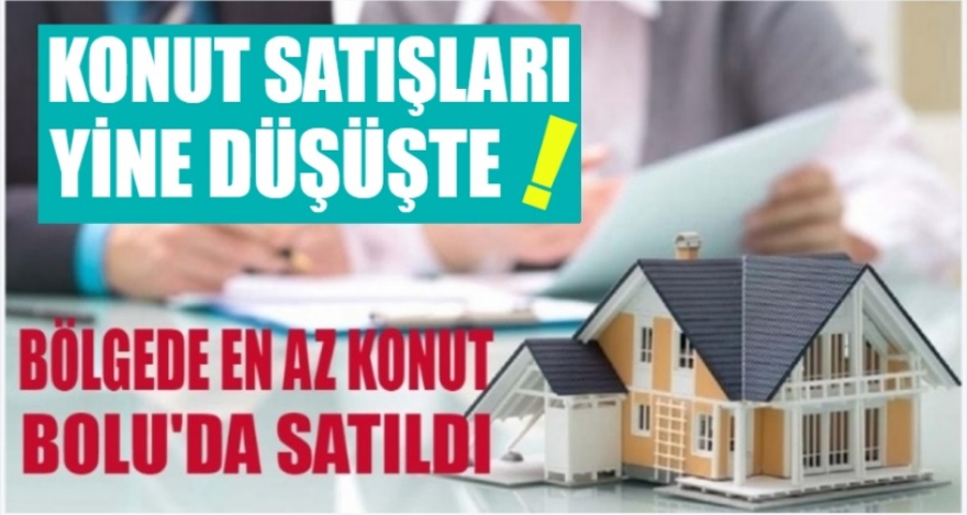 EN AZ KONUT YİNE BOLU'DA SATILDI