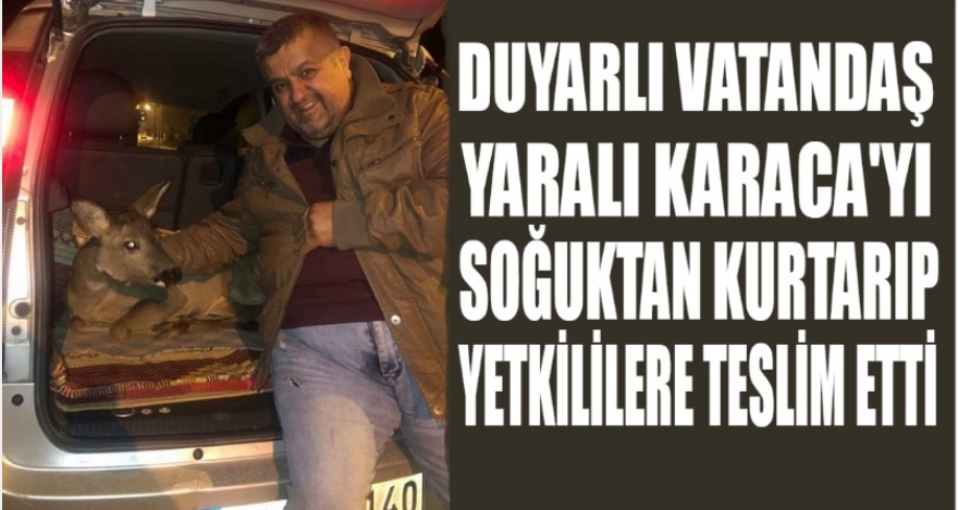 YARALI KARACAYA SAHİP ÇIKTILAR